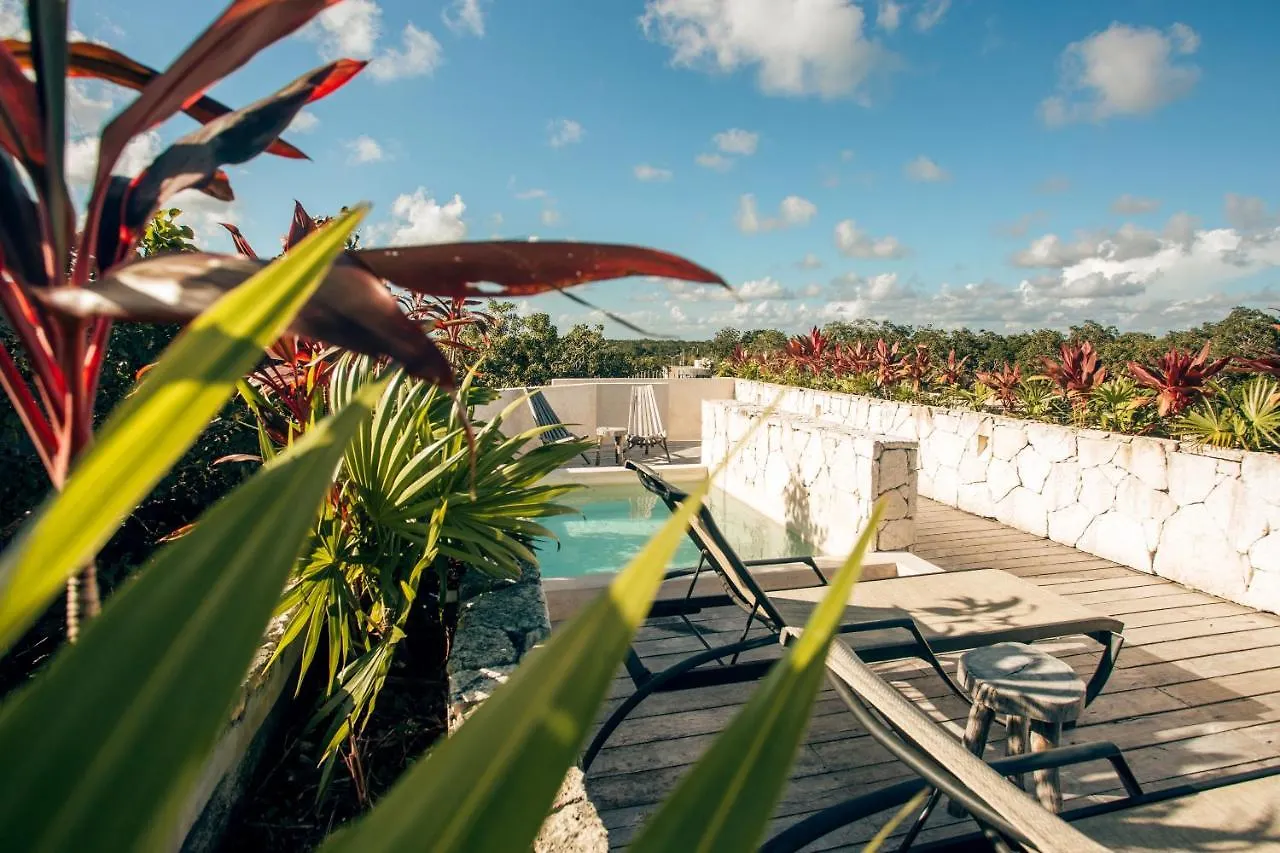 Vida Boho Apart 10 With Special Fee To Access Hotel Bardo Tulum Mexico