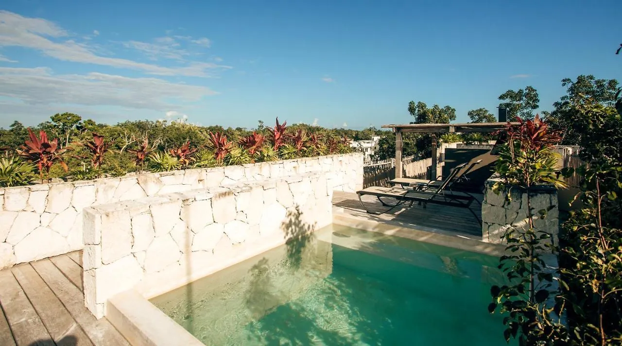 Apartment Vida Boho Apart 10 With Special Fee To Access Hotel Bardo Tulum Mexico